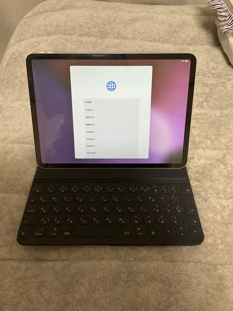 iPadpro（第一世代） 11インチ シルバー wifiモデル　256GB