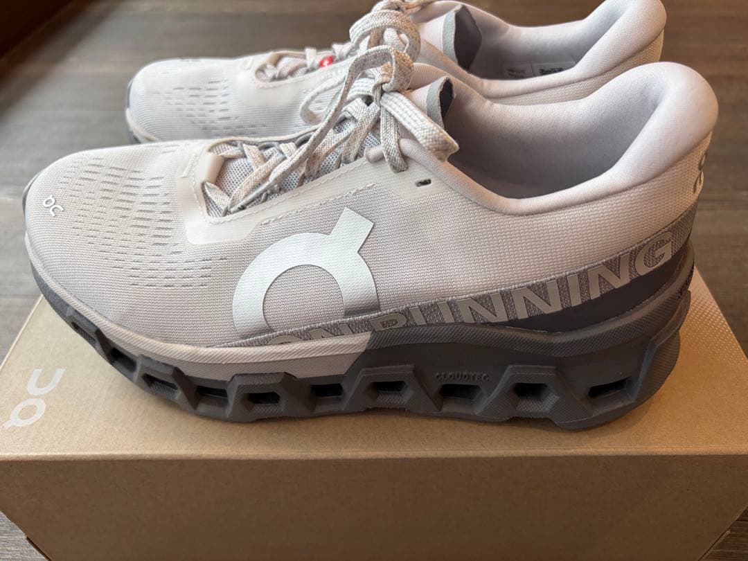 On Cloudmonster 2 ペールグレー　25.0センチ