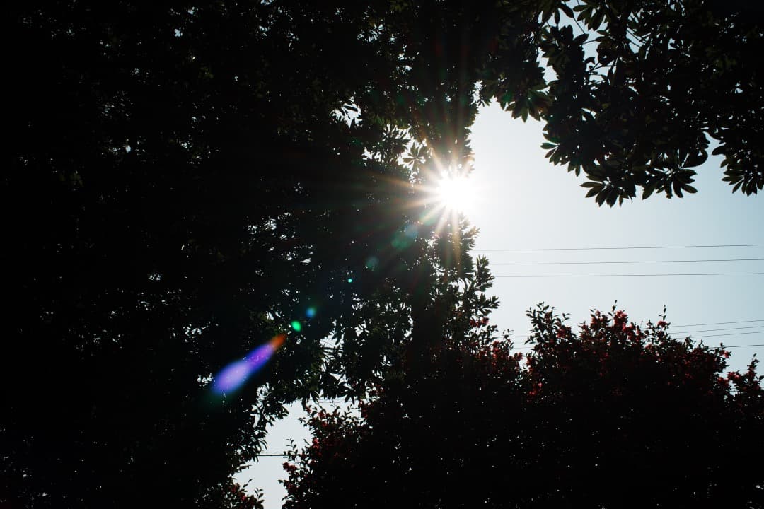 【極美品】動作◎ Nikon Ai Nikkor 28mm F2.8 292