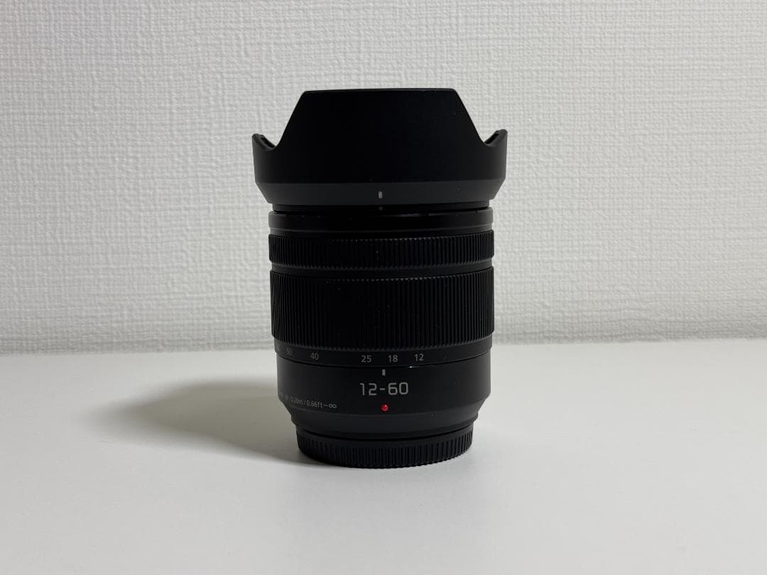 ［最終値下げ］Panasonic LUMIX DC-GH5M V-Log拡張済