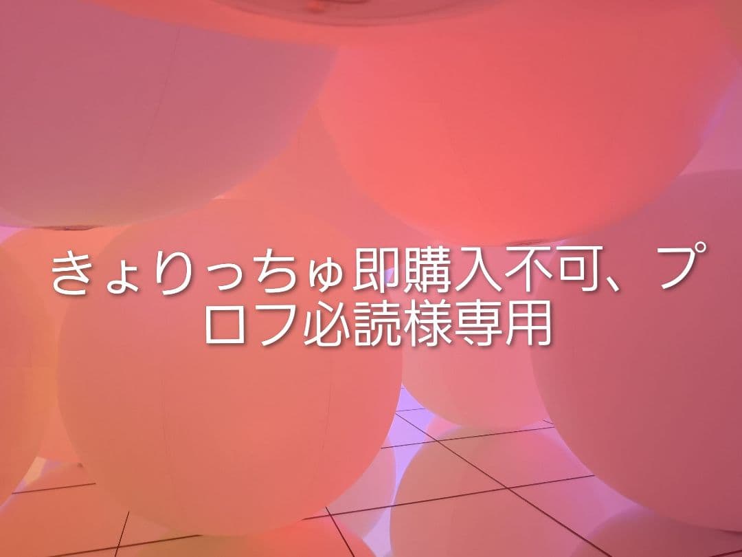 きょりっちゅ即購入不可、プロフ必読