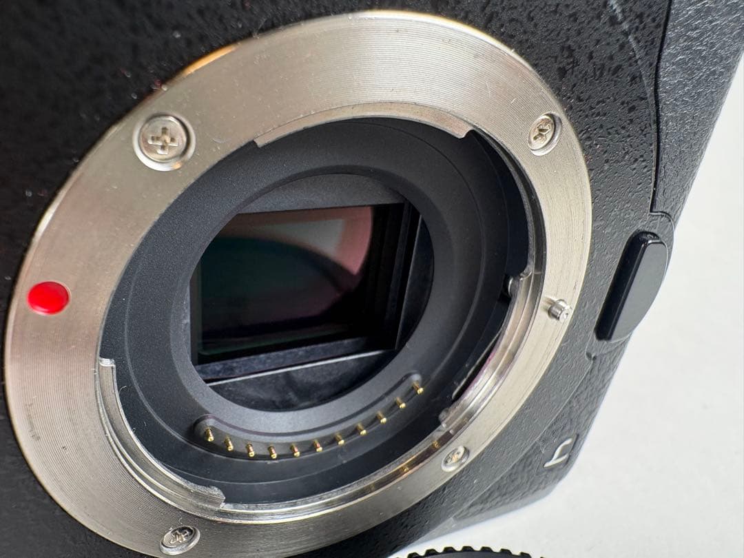 Panasonic LUMIX GH5 ミラーレス一眼 ボディ バリアングル液晶