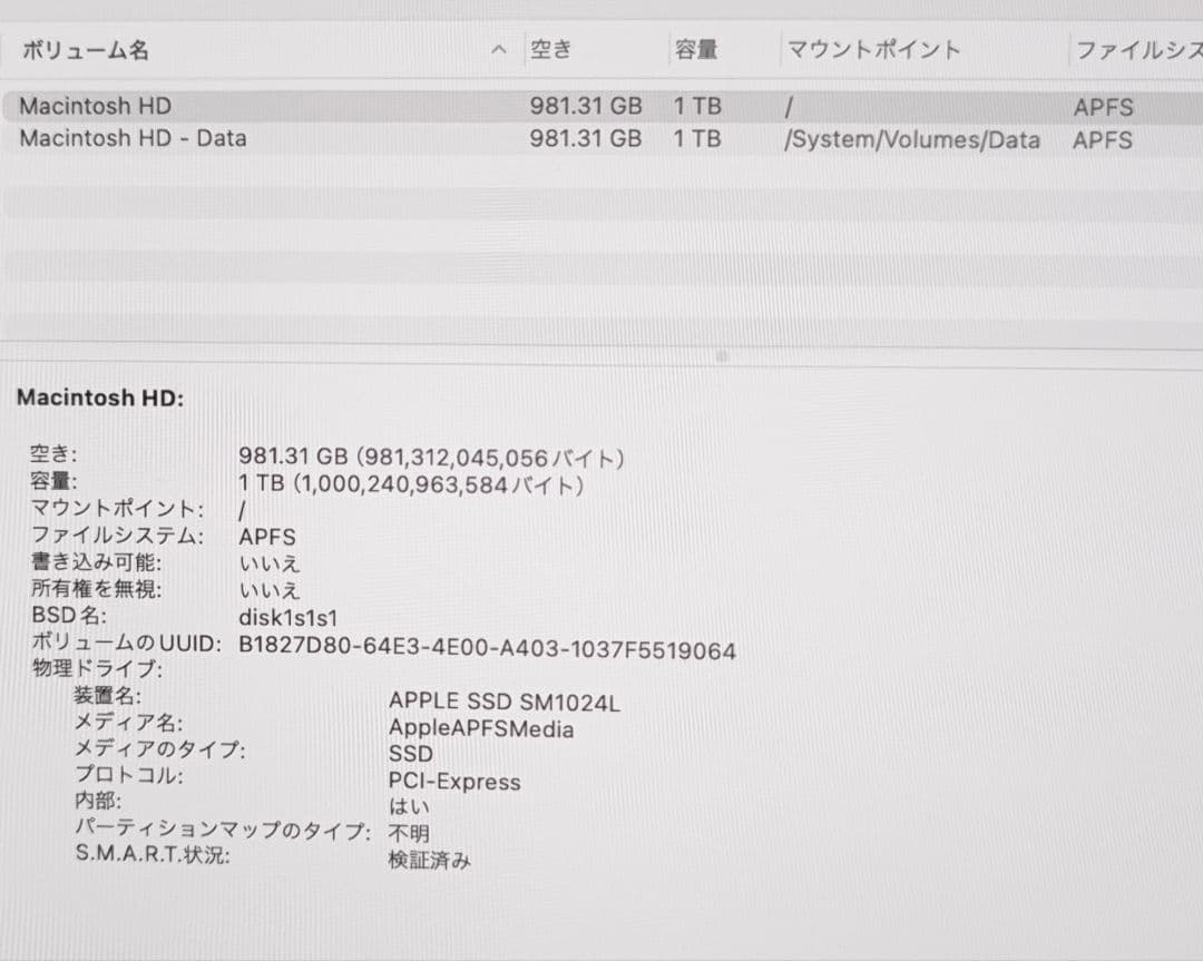 iMac 2019 21.5 メモリ32GB SSD1TB