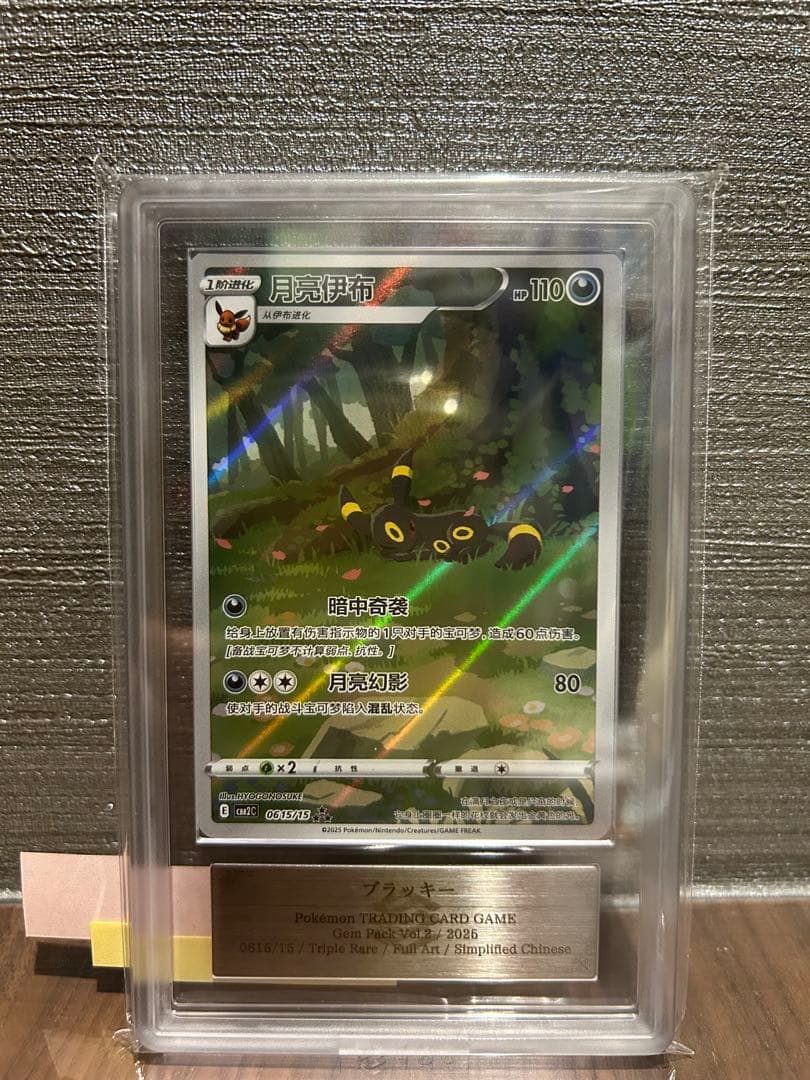 【ARS10】ブラッキー AR 中国語 宝石包