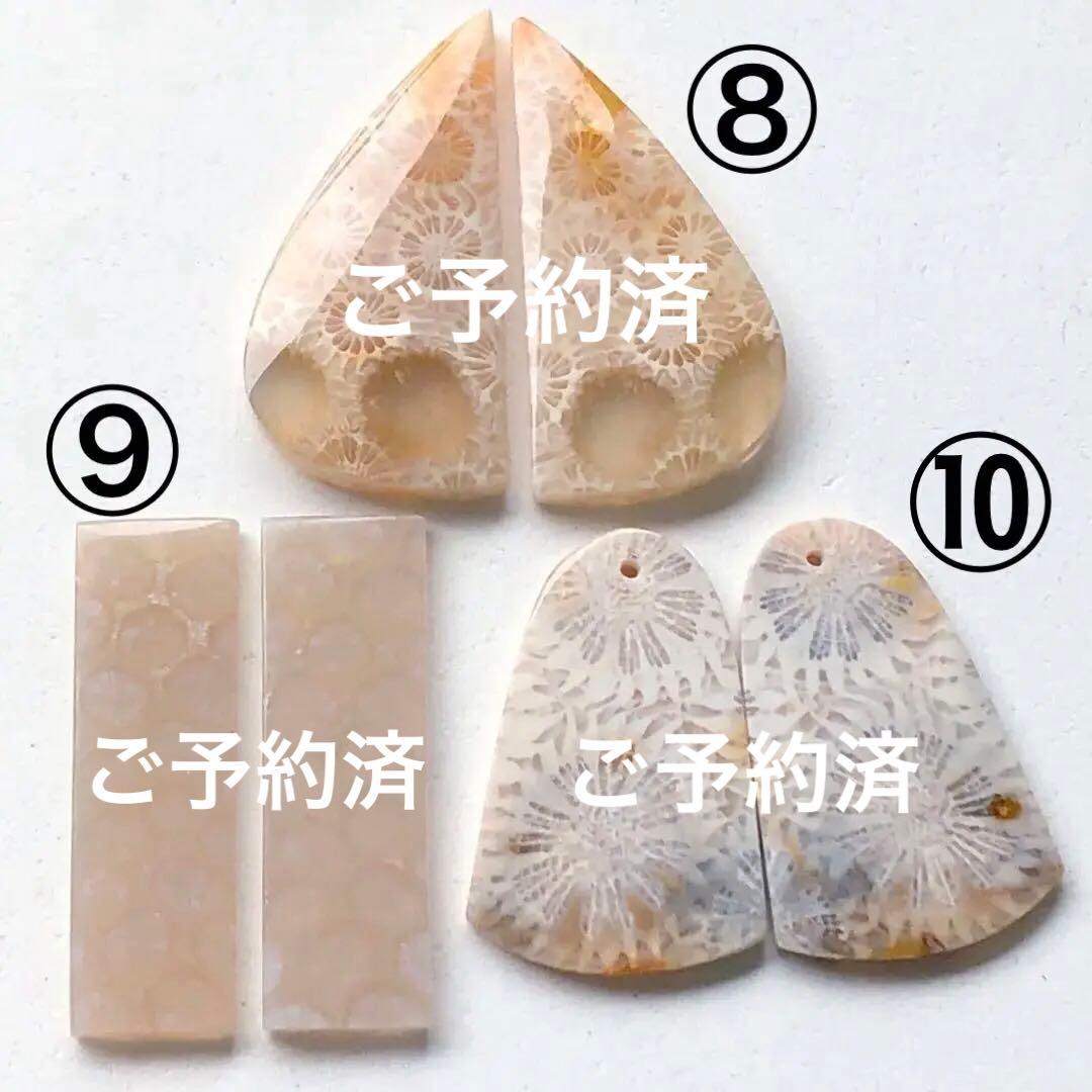 天然石♡フォッシルコーラルのピアス14kgf