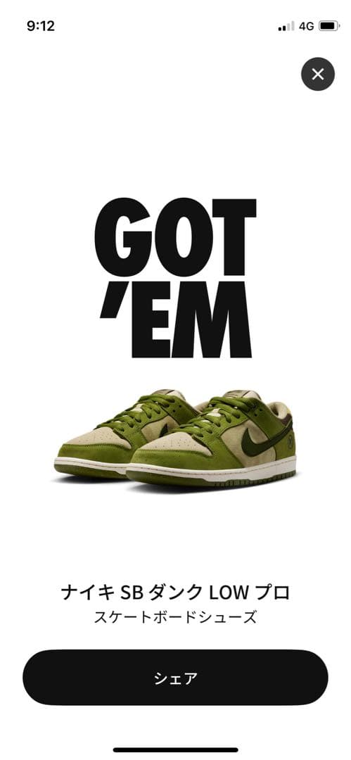 マリア　Nike SB Dunk Low Pro 堀米雄斗