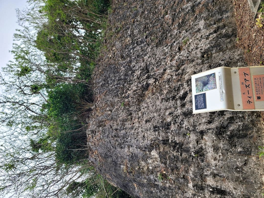 A★限定一点品金剛杵無病息災財運オルゴプレート