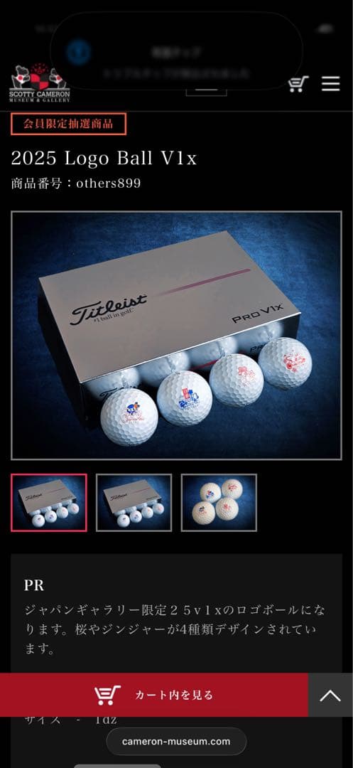 タイトリストPro V1 X スコッティキャメロン ゴルフボール 1ダース