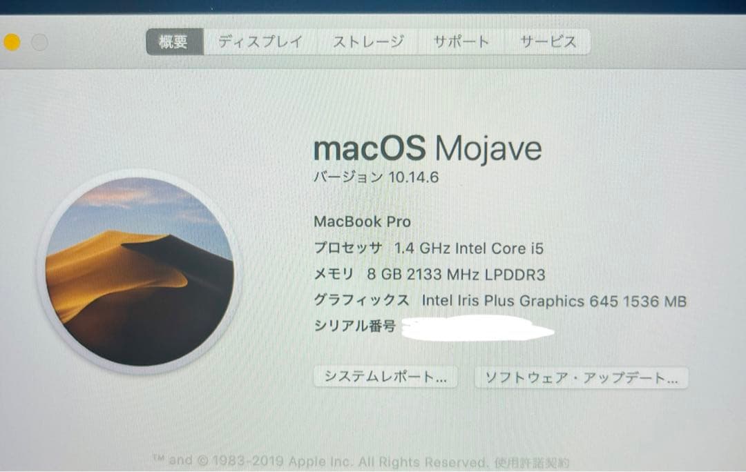 【箱付き美品】APPLE MacBook Pro A2159 MUHQ2J/A