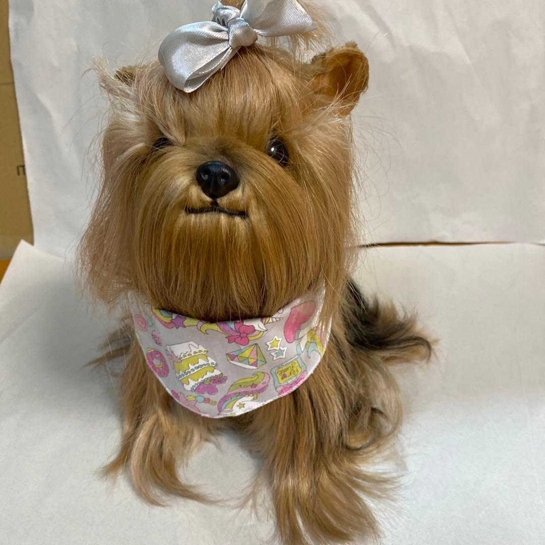 フォンテーヌ　ドレッシーペット　ヨークシャテリア