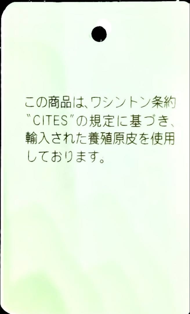 激ヤバ！新年特別！新品　ヒマラヤクロコダイル　ポロサス　ケース　手縫い
