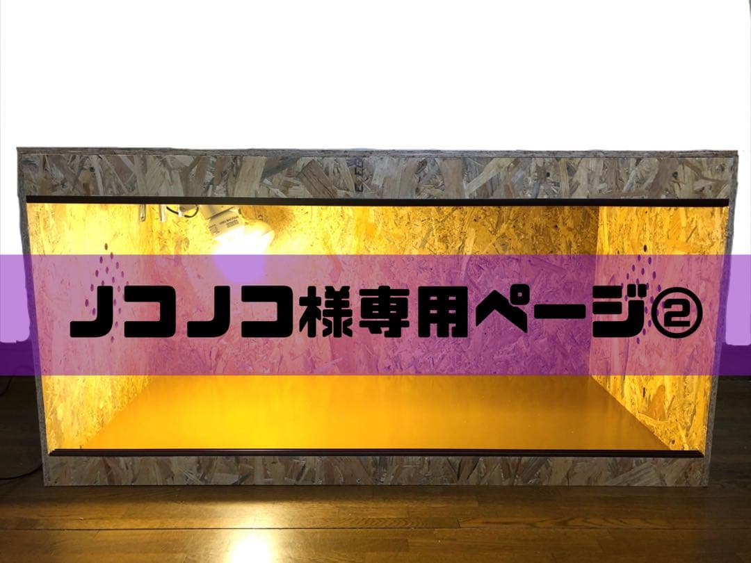 ノコノコページ②