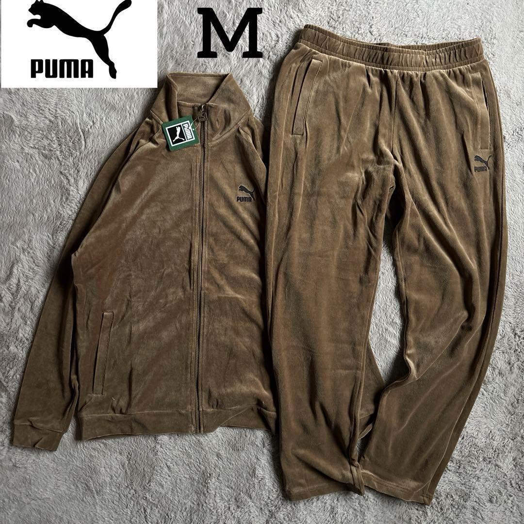 新品 人気モデル　PUMA プーマ ベロア セットアップ ブラウン M