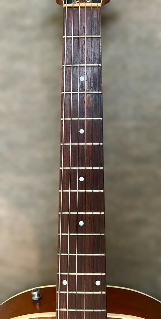 Godin 5th Avenue Kingpin P90 改良仕様 ノイズ対策済