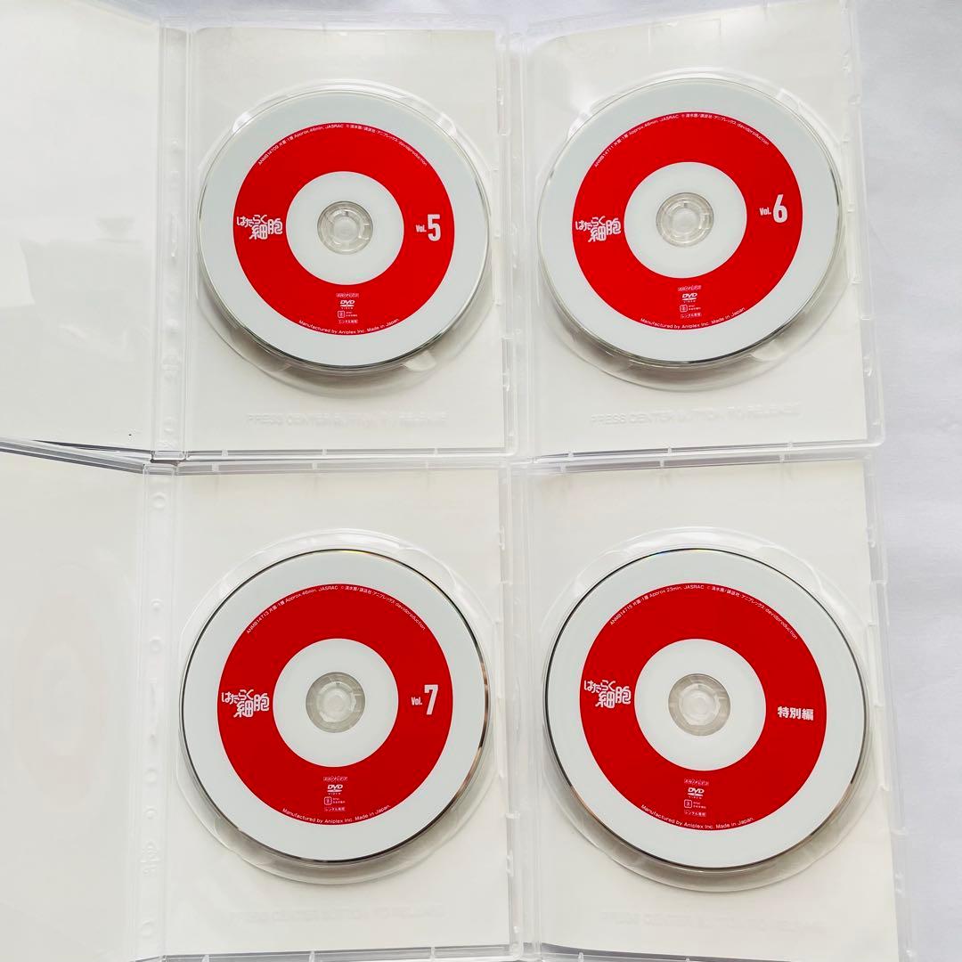 【新品ケース付】はたらく細胞　アニメ　DVD 全19巻セット　全巻セット