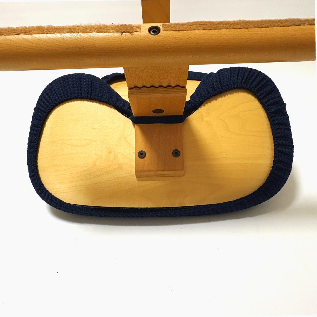 【美品】バランスイージー ネイビー 純正カバー付