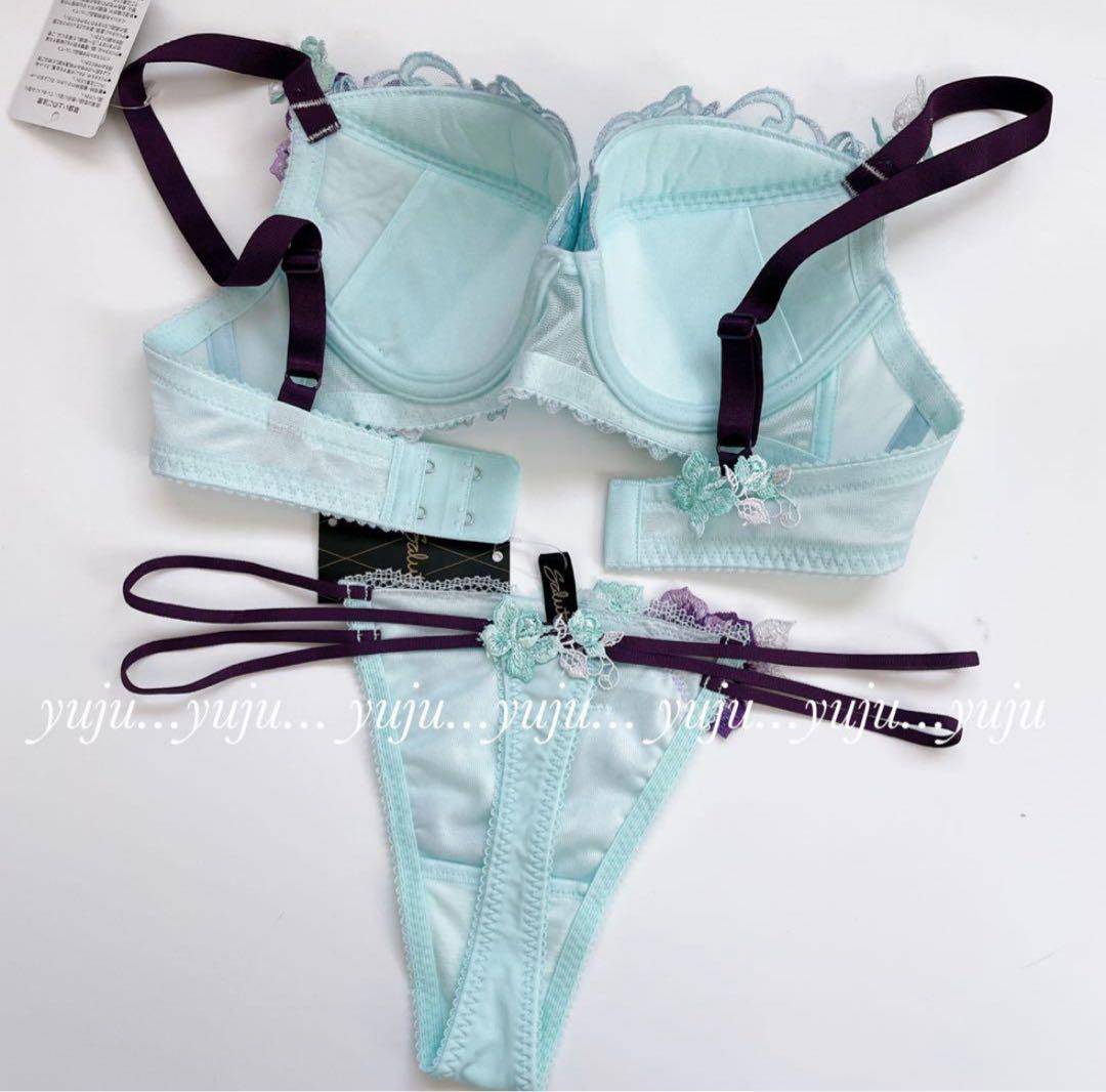 ワコール/サルート 66グループ 新品タグ付 P-upブラTバックC65 TU