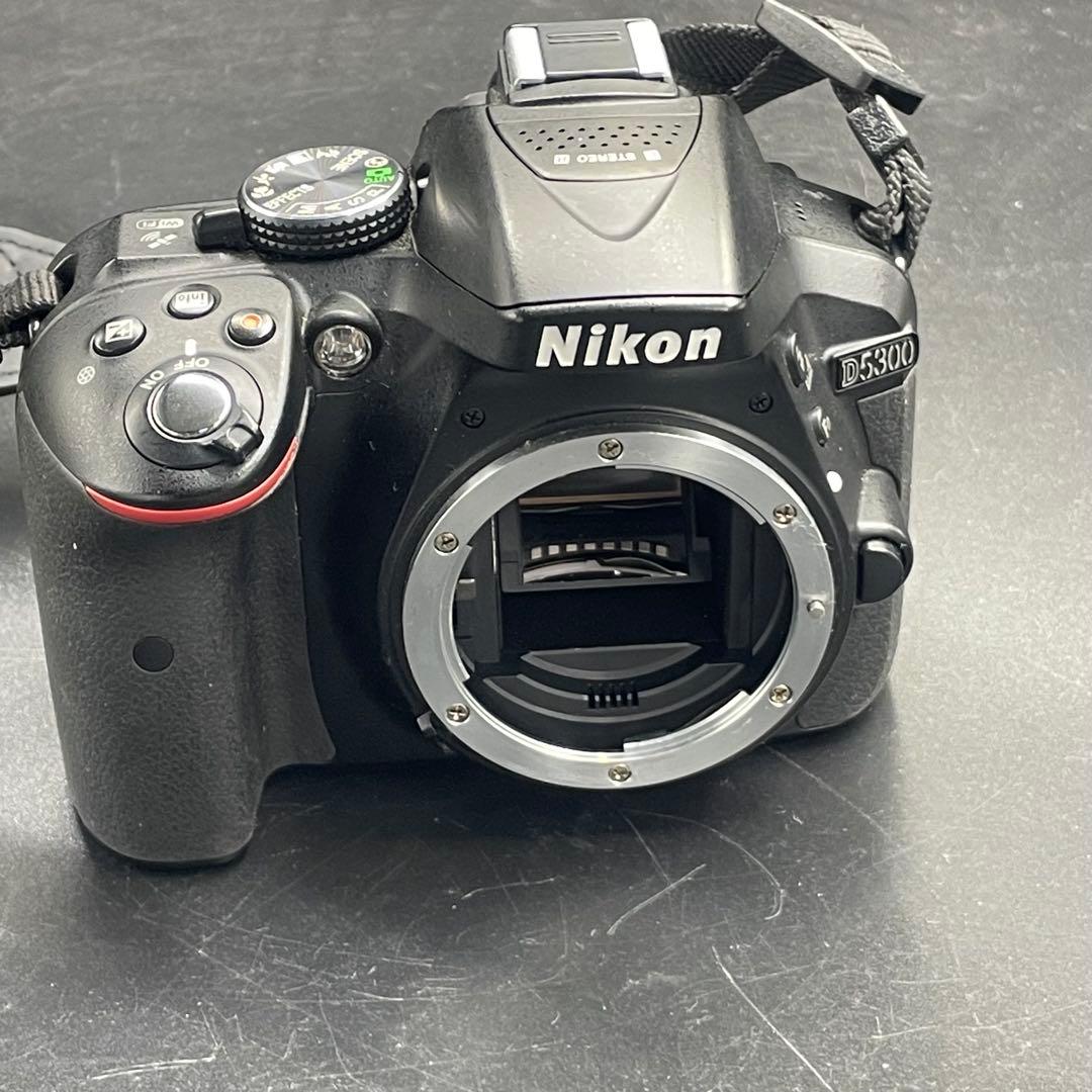 Nikon D5300 ダブルズームレンズキット ショット数5269枚