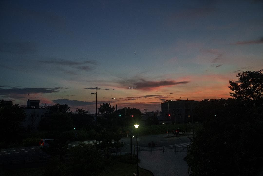 広角の鉄板 Leica Summaron 35mm F3.5 オールドレンズ