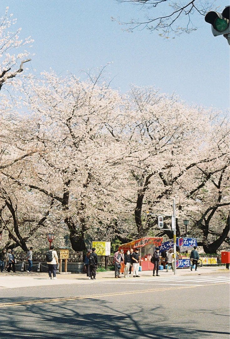 OLYMPUS PEN F フィルムカメラ