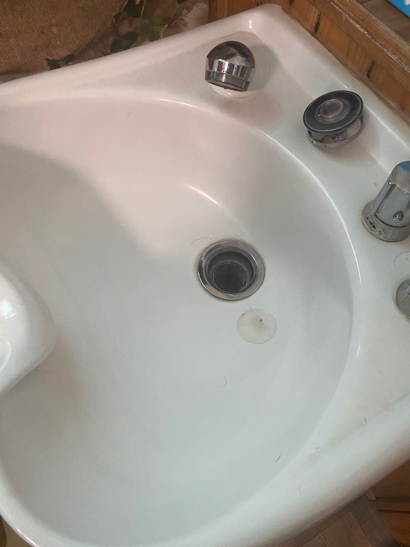 ジ*ボ様 サイドシャンプーボール