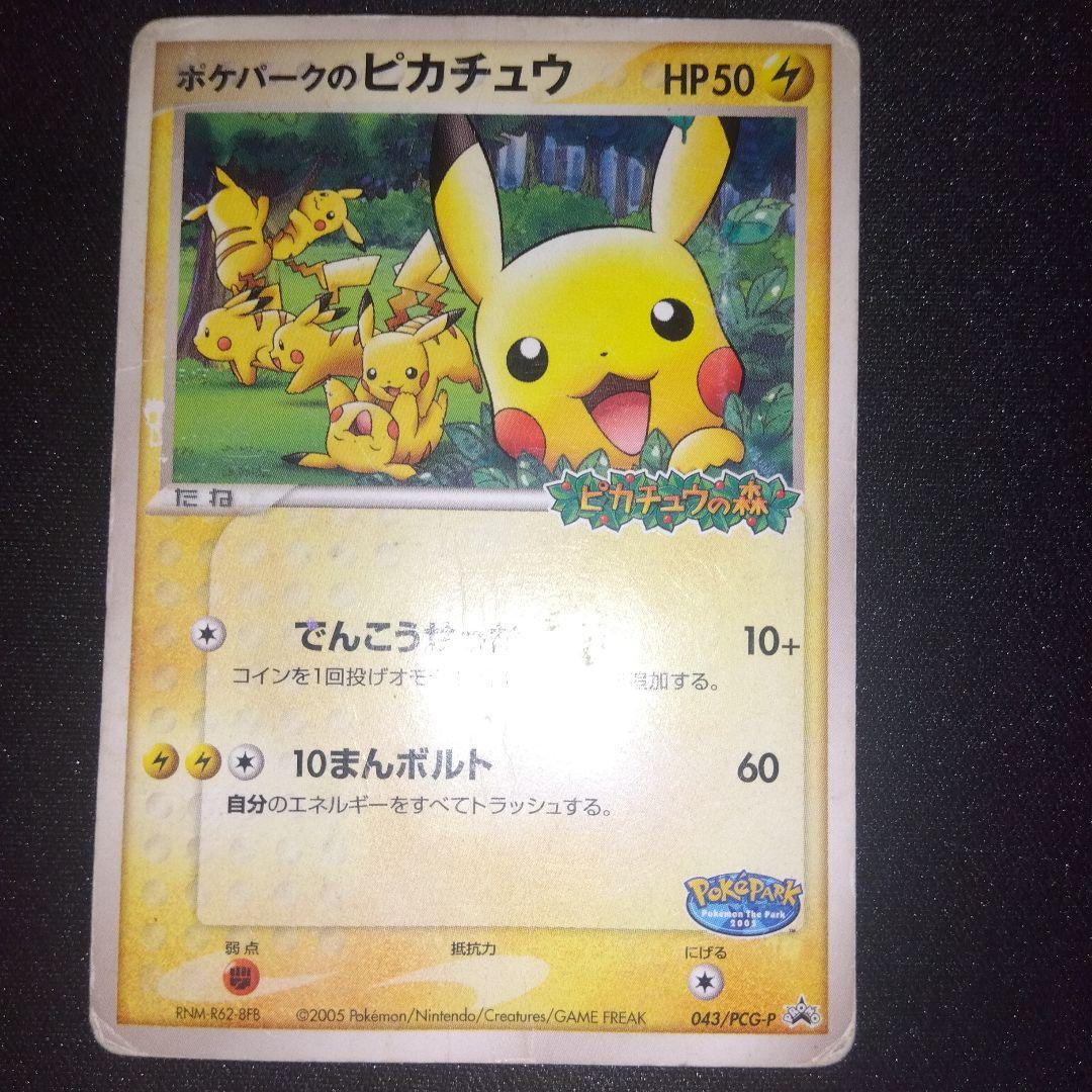 ポケパーク　グラードン　ゴンベ　ピカチュウ　3枚セット