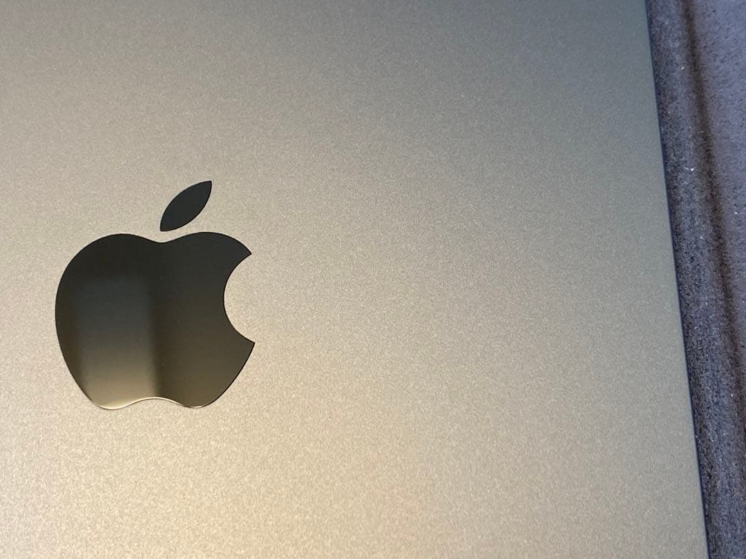 【未使用に近い】Apple iPadmini 64GB スペースグレー 第6世代