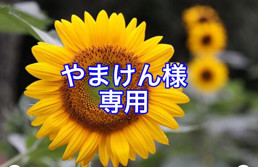 やまけん！メネフネ デキャンタUNITED航空 1975ハワイアンオープン