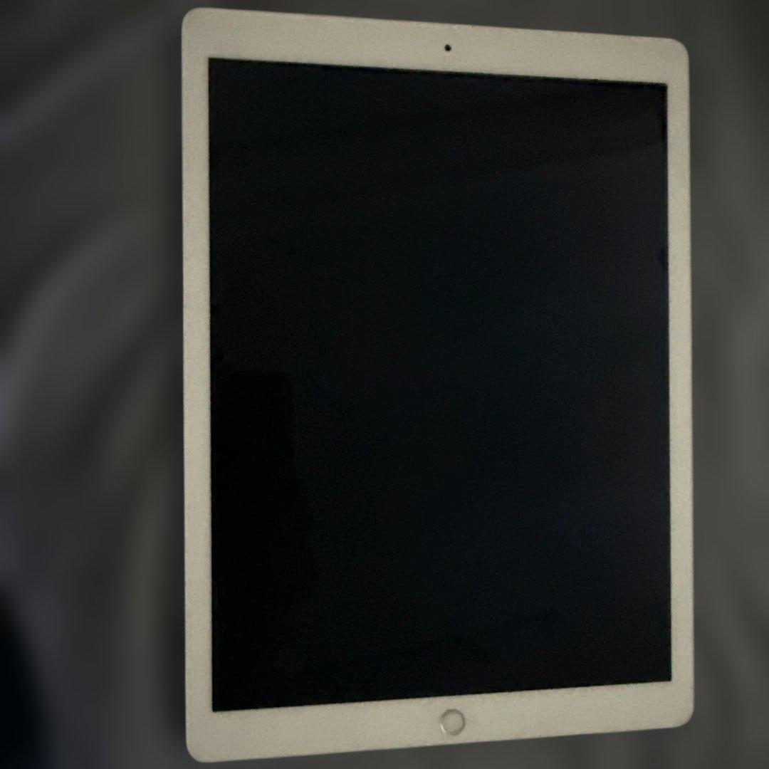 iPad Pro 12.9インチ (第2世代) 256GB