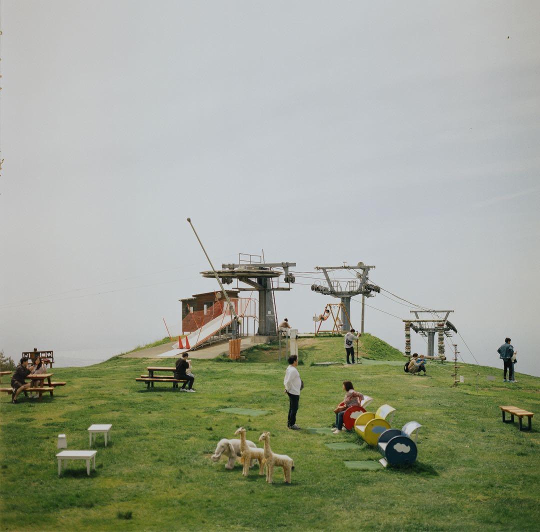 ハッセルブラッド500C/M + 希少な白鏡胴T*80mm Cレンズ