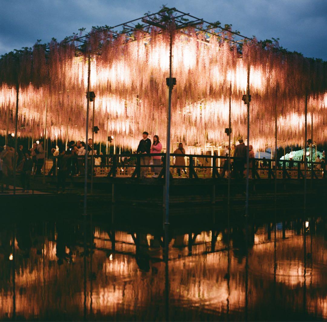 ハッセルブラッド500C/M + 希少な白鏡胴T*80mm Cレンズ