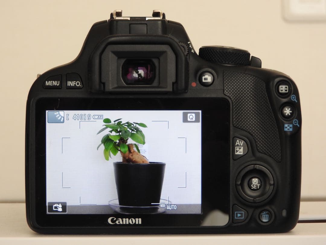 Canon EOS Kiss X7 18-55 55-250 キャノン 一眼レフ