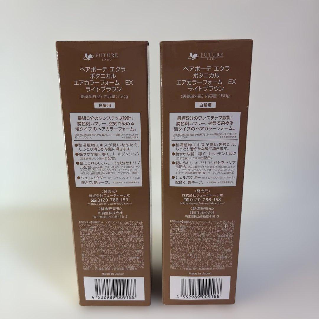 ECLAT ボタニカルエアカラーフォーム EXライトブラウン 150gx2セット