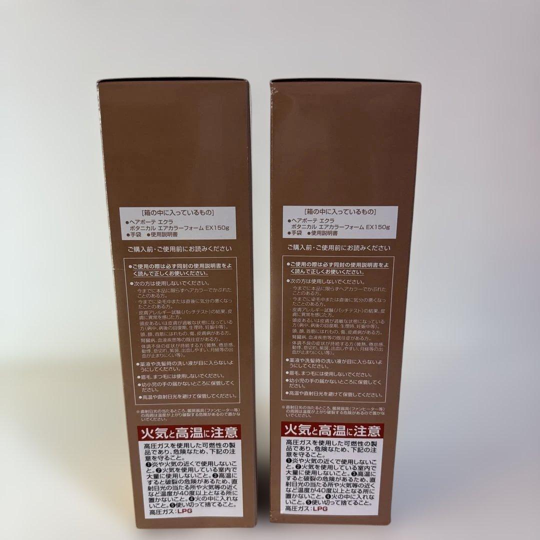 ECLAT ボタニカルエアカラーフォーム EXライトブラウン 150gx2セット