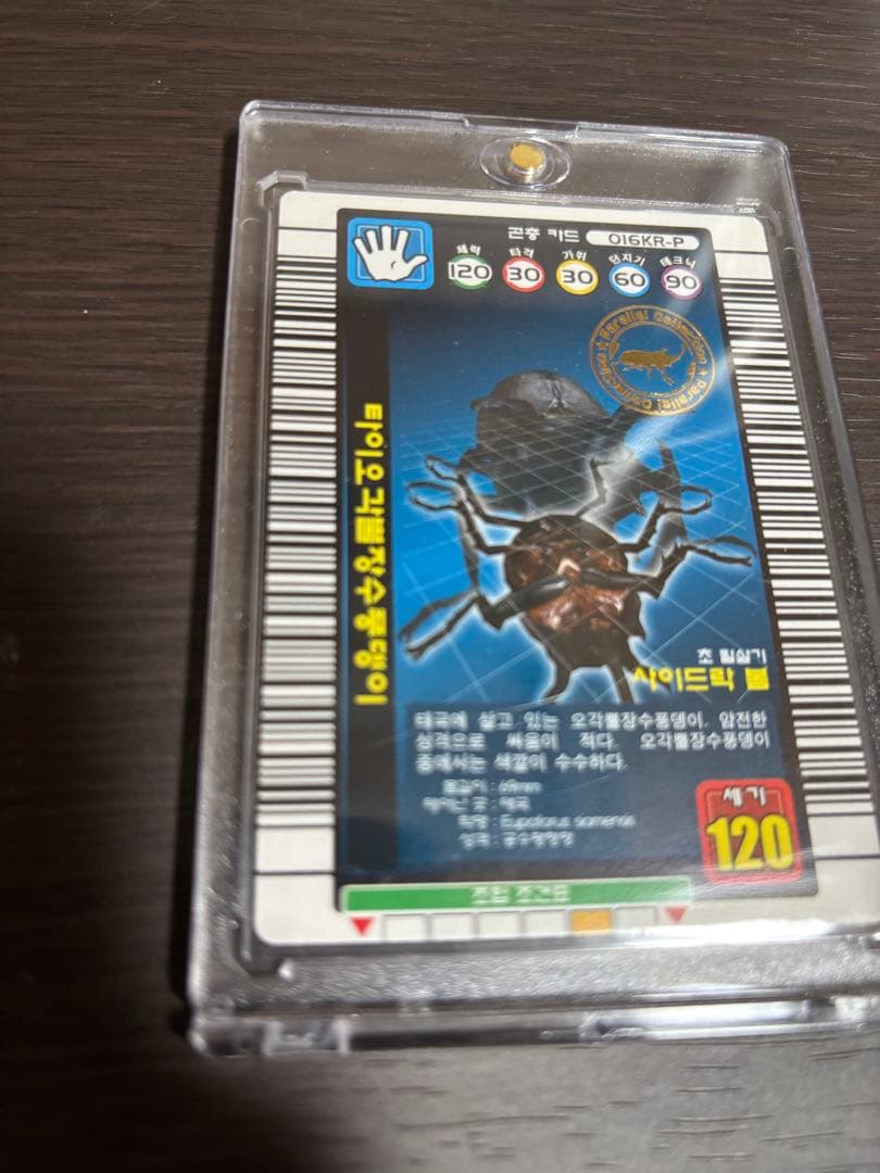 【エラーカード】ムシキング　サンボンヅノカブト　韓国版
