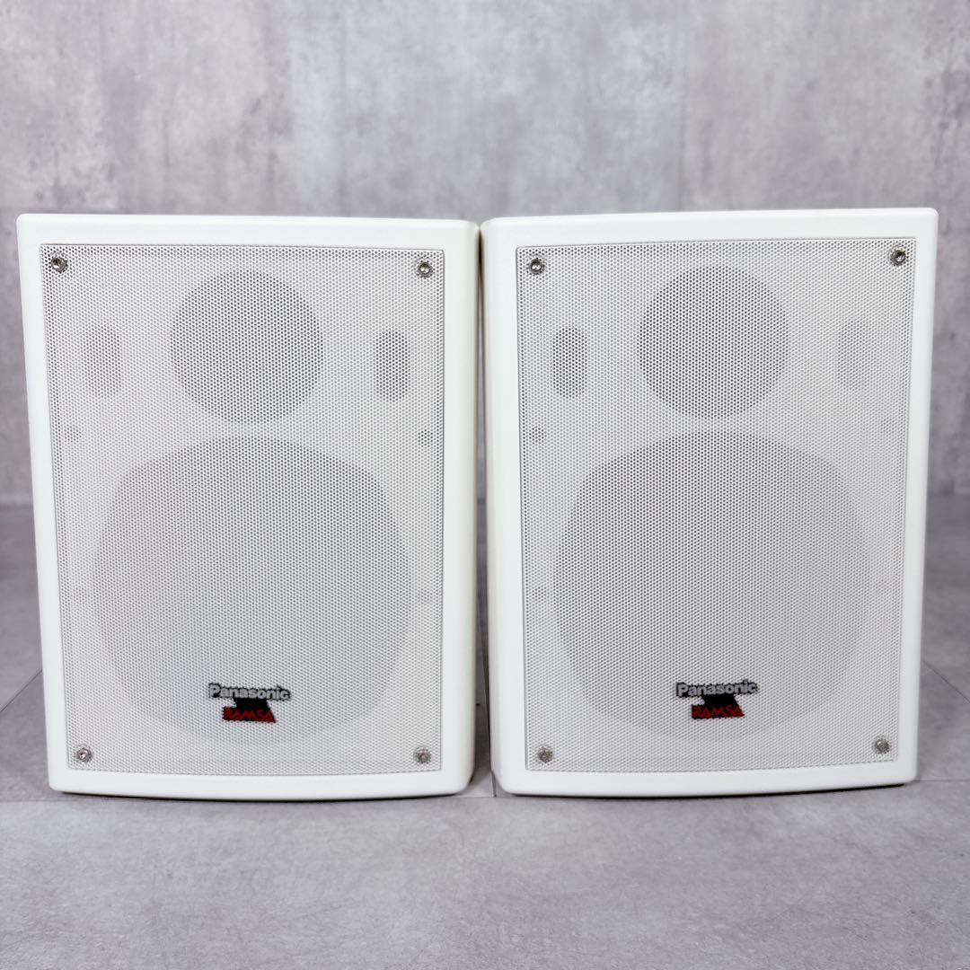 V641 激レア RAMSA WS-NF055 ニアフィールドスピーカー 屋内用