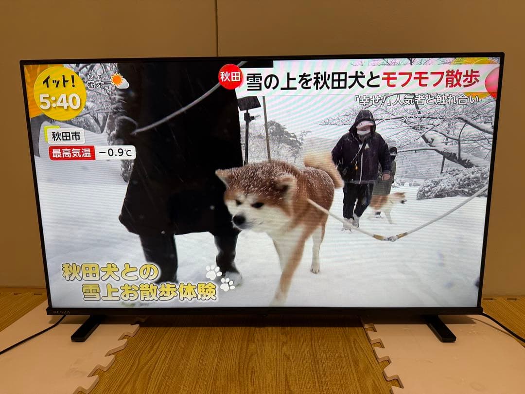美品東芝REGZA 40V35N 40型2024年製⭕️上地BS/CS動画可テレビ