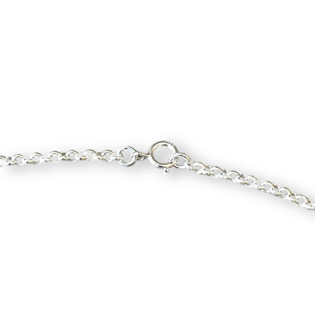 チェーン付き フェザーネックレス シルバー925 特大 燻し銀 インディアン