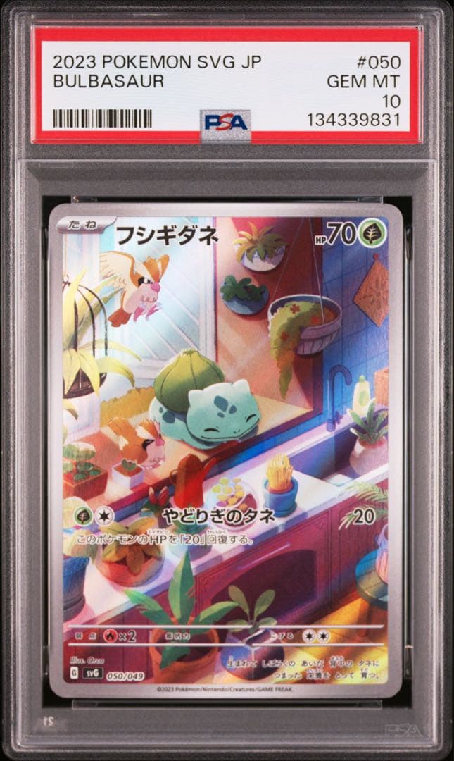 3連番 PSA10 フシギダネ AR ヒトカゲ AR ゼニガメ AR プロモ ⑤