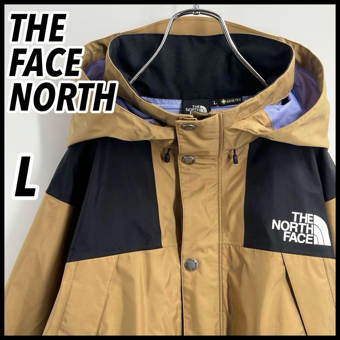 【ゴアテックス】ノースフェイス レインテックスマウンテンパーカー L 超人気