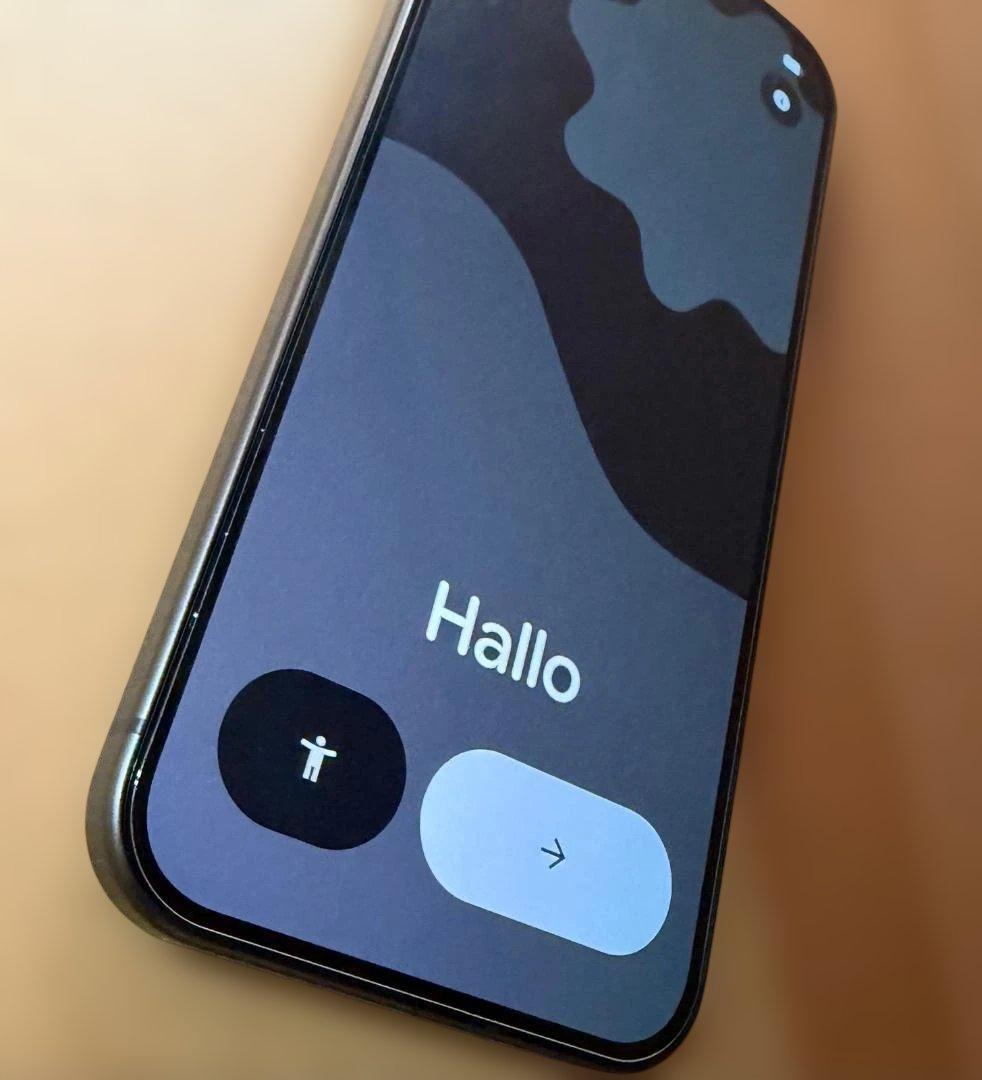 海外版 Pixcel10 バッテリー100％ 128GB J54