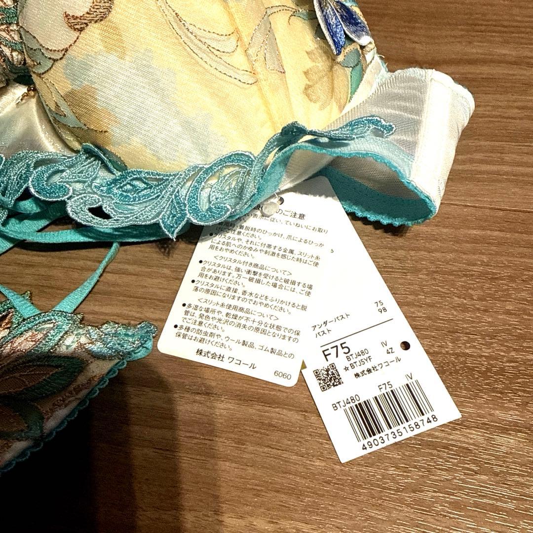 Salute ワコール 3/4カップ プッシュアップタイプBTJ480