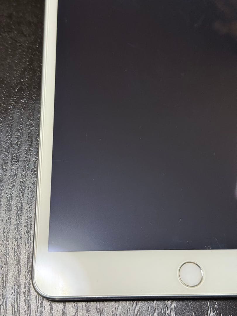 iPad mini（第1世代）セルラー docomo 16GB ケース付き