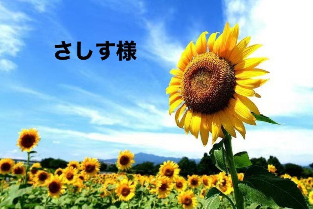 さしす様