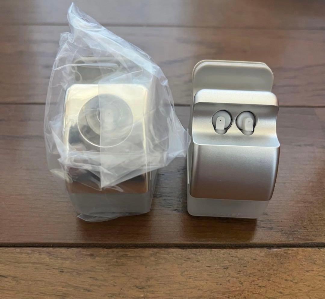 ち*ん様 Panasonic EH-SA0B スチーマーナノケア