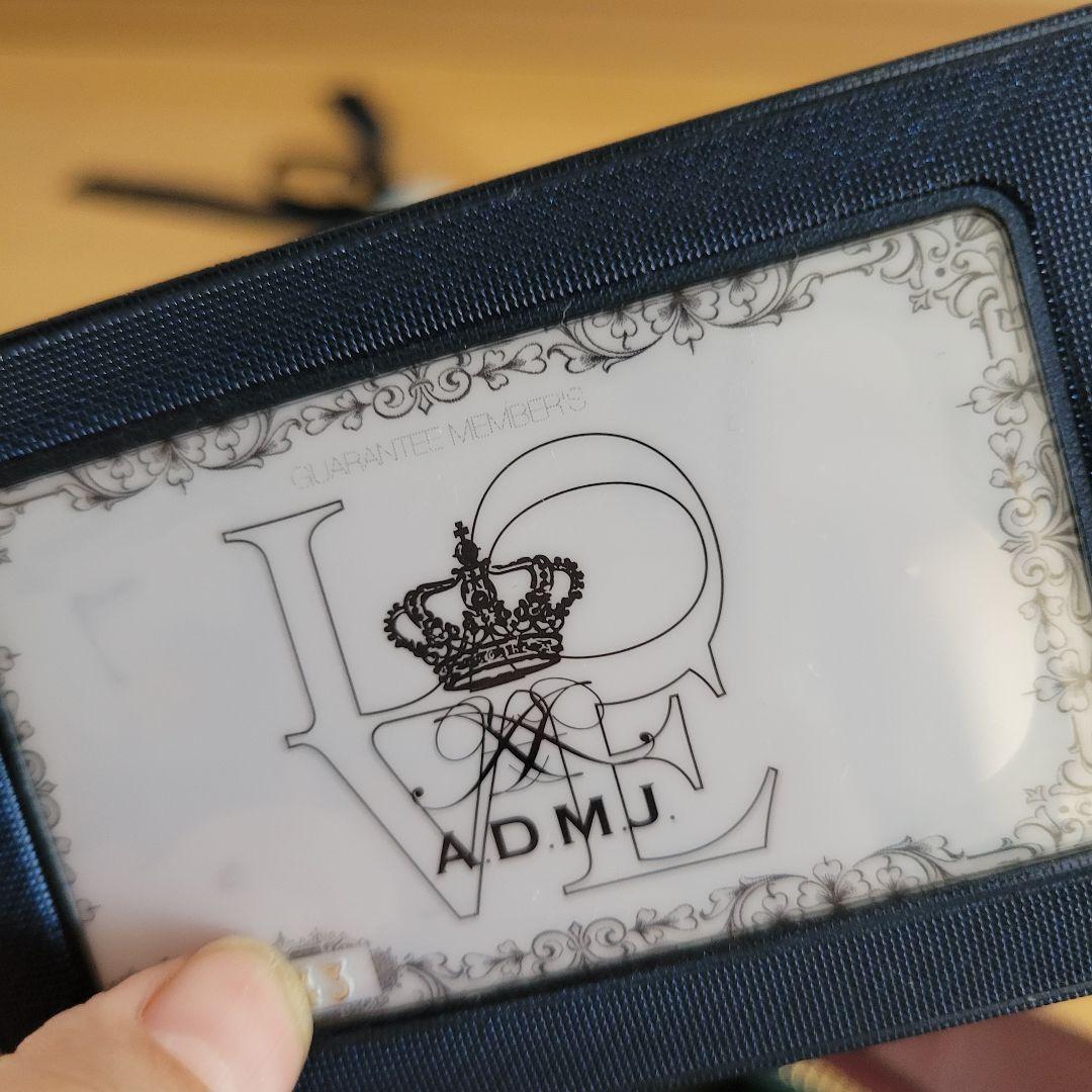 ADMJ バーガンディ レザー バッグ