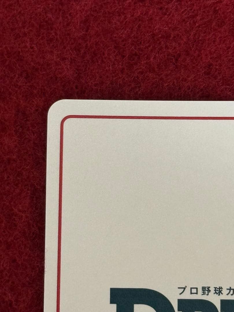 ドリームオーダー　佐野恵太　SDR