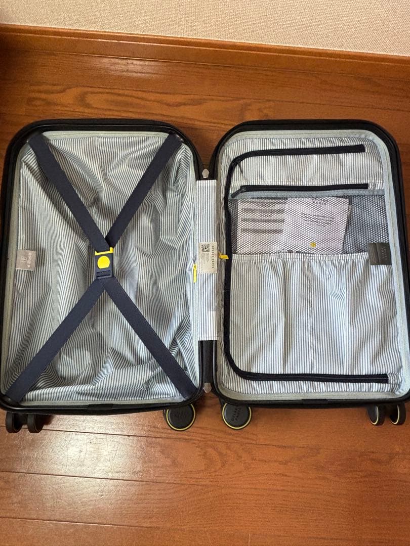 新品DELSY PARIS 荷物