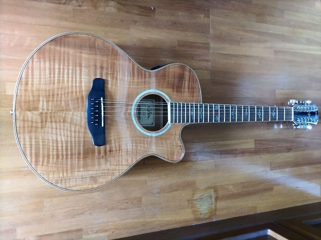 Aria 12弦エレアコ　FET-12-SPL N