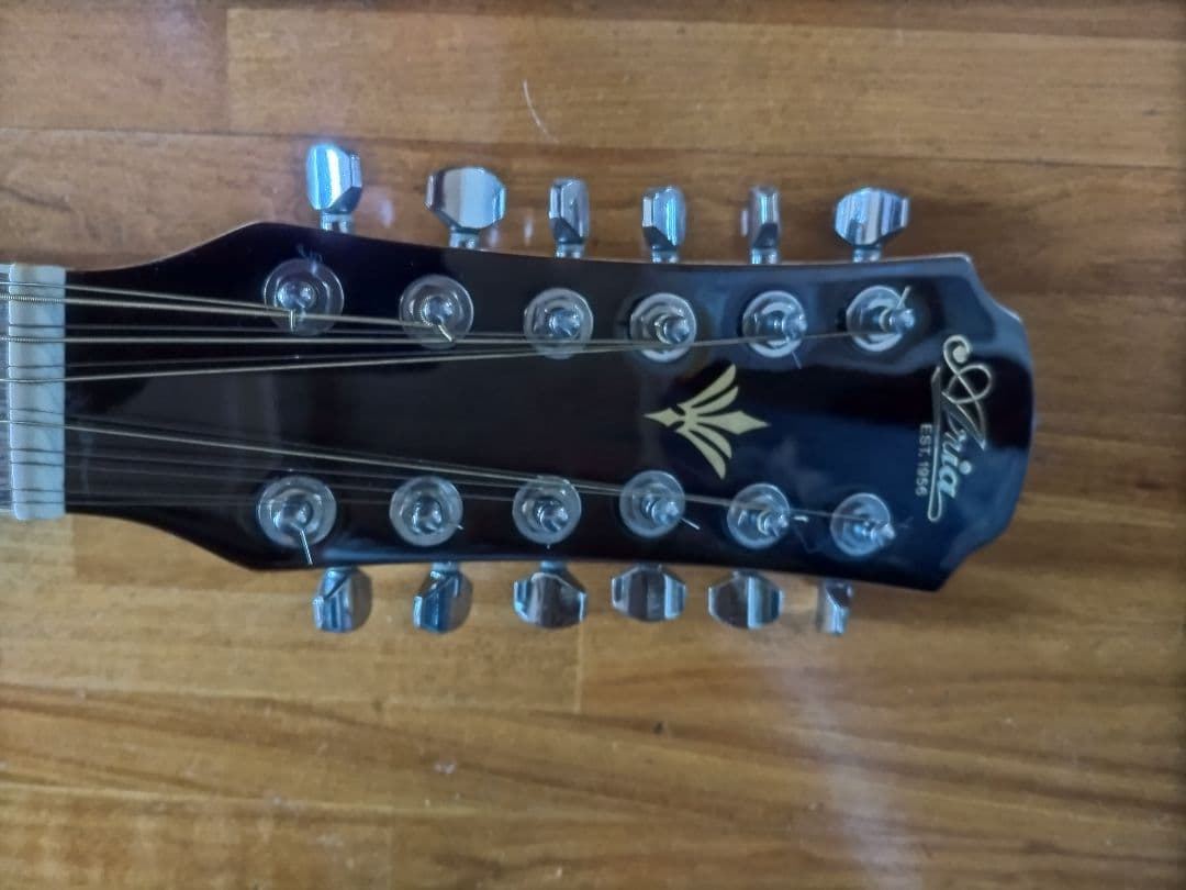 Aria 12弦エレアコ　FET-12-SPL N